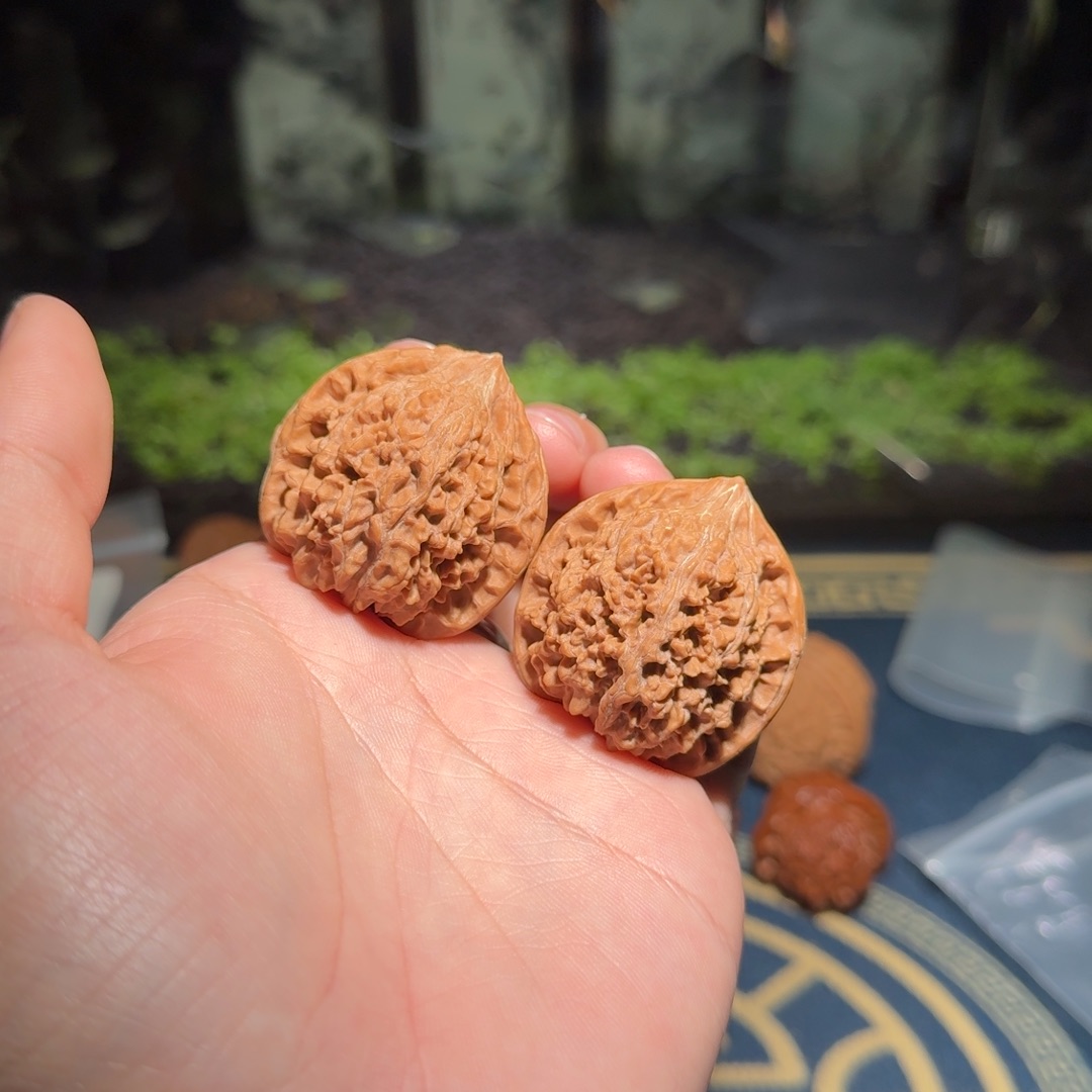 2462号39满天星文玩核桃