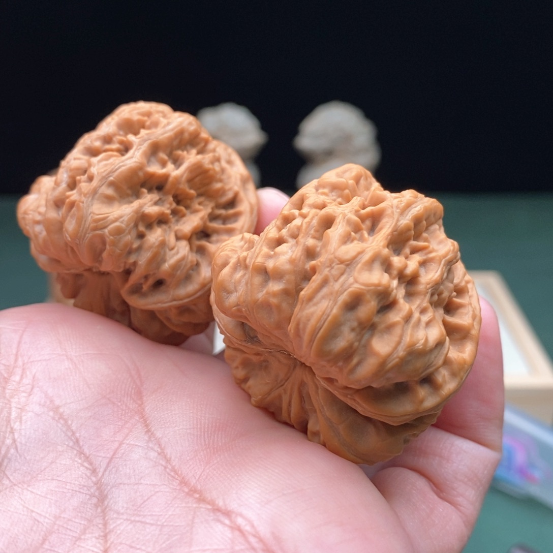 文玩核桃把件?*驴金蟾王