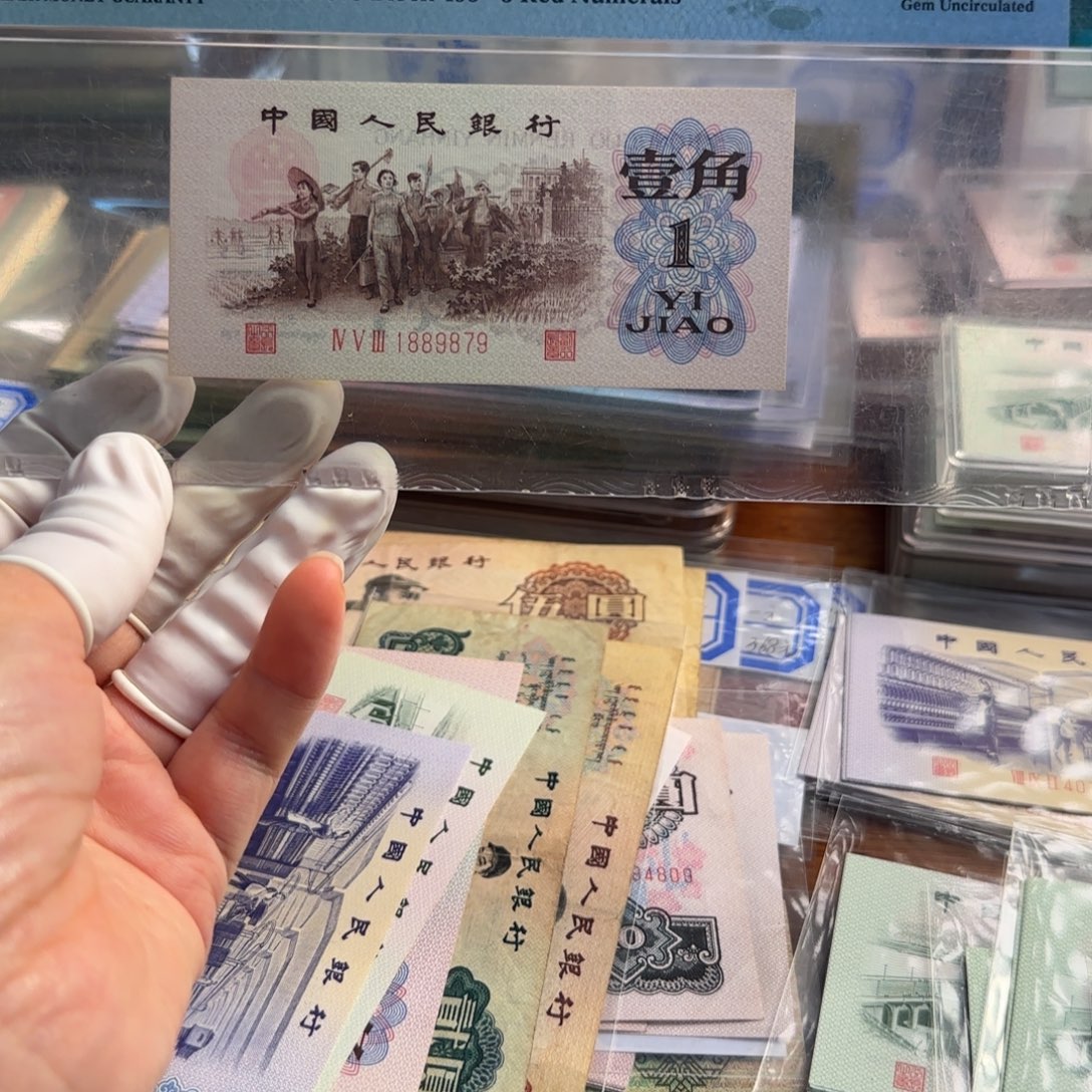 背绿一角一张保真………………