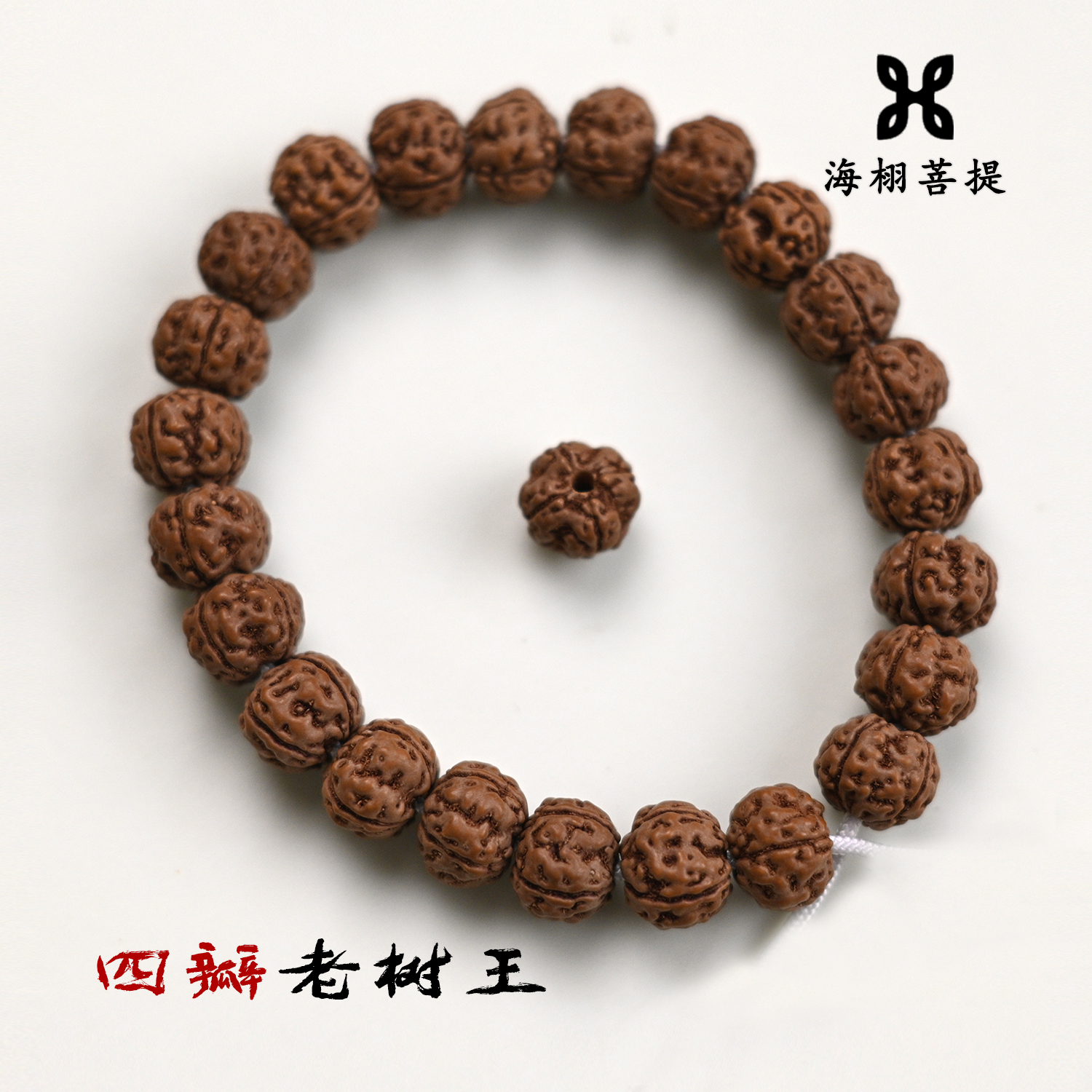 【四瓣老树王】小金刚菩提四瓣老树王