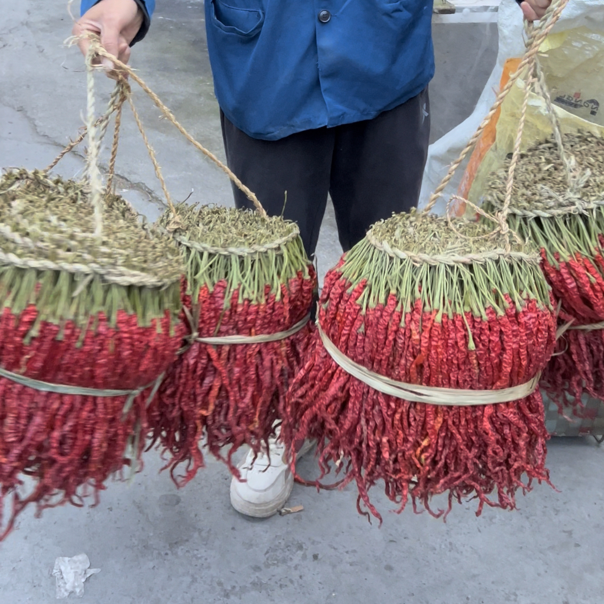 【2025年新辣椒皱皮】贵州大方皱椒新干辣椒个个微辣特香半斤包邮