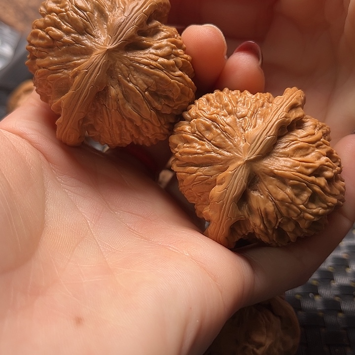 文玩核桃把件48白狮子