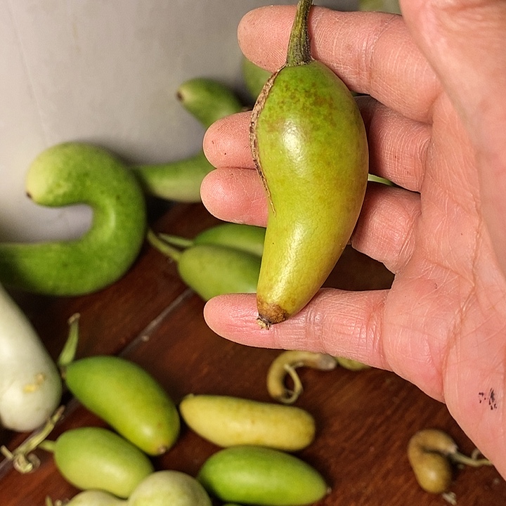 丁****室葫芦手把件小天裂