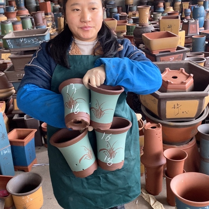 紫砂花盆盆栽花卉苗木种植