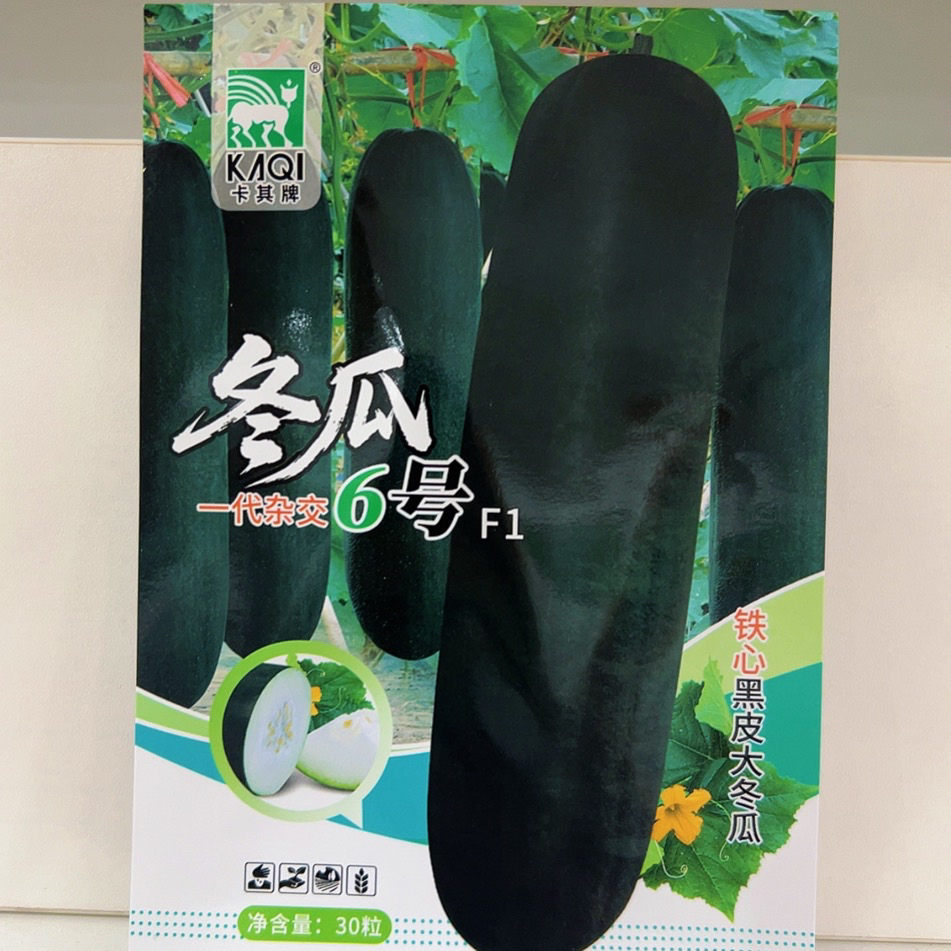 6号大型冬瓜种子