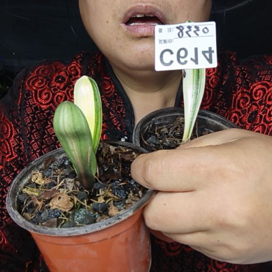 用***3完全开放0000000000