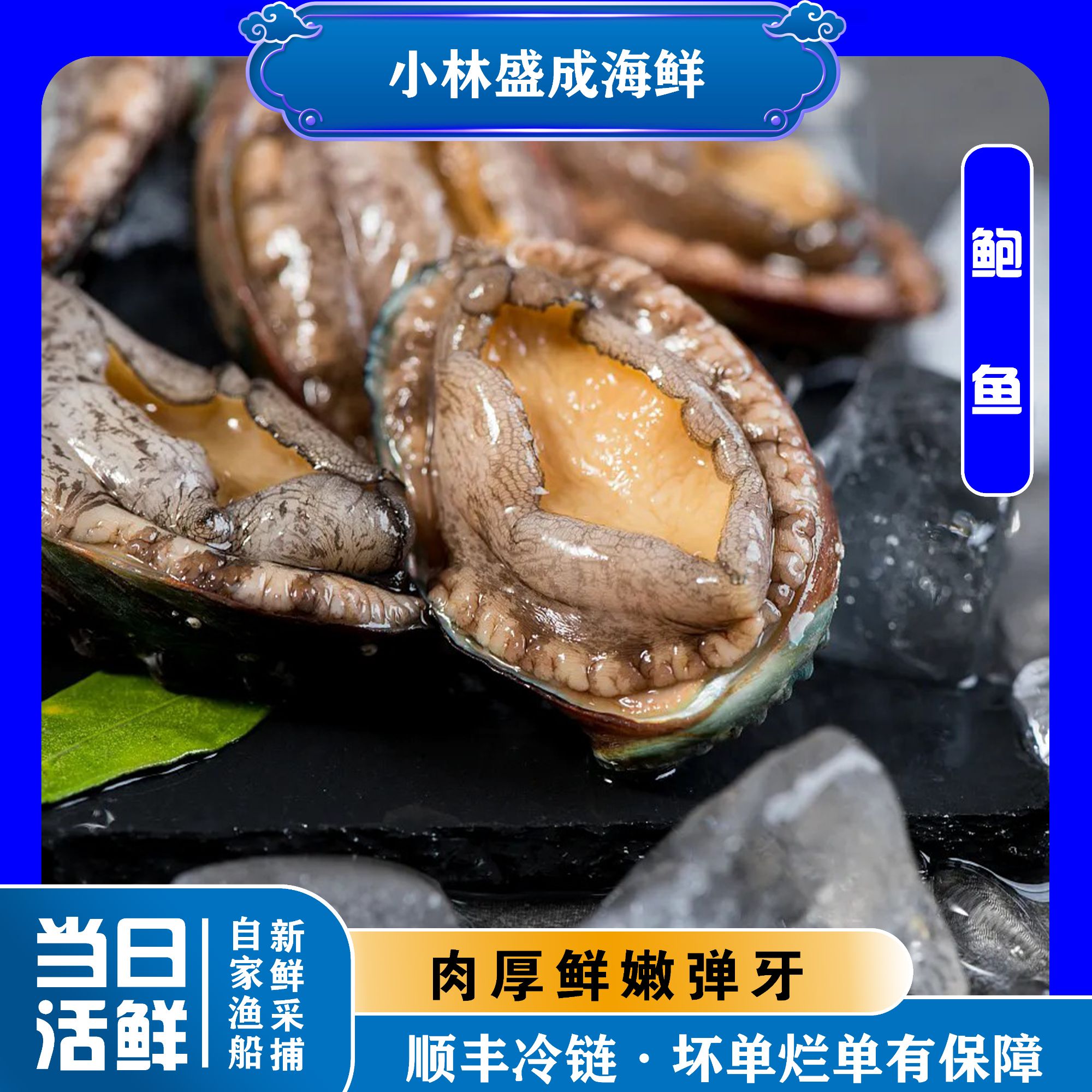 【小林盛成】大连鲜活鲍鱼5-6个/1斤 顺丰直发2斤起拍 【保鲜不保活】