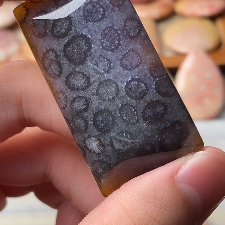 萝***胡硅化珊瑚未镶嵌颈饰