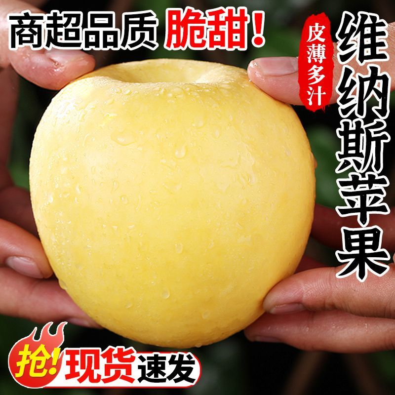 T山东烟台锈斑果黄金维纳斯奶油苹果当季新鲜水果脆甜多汁果香浓