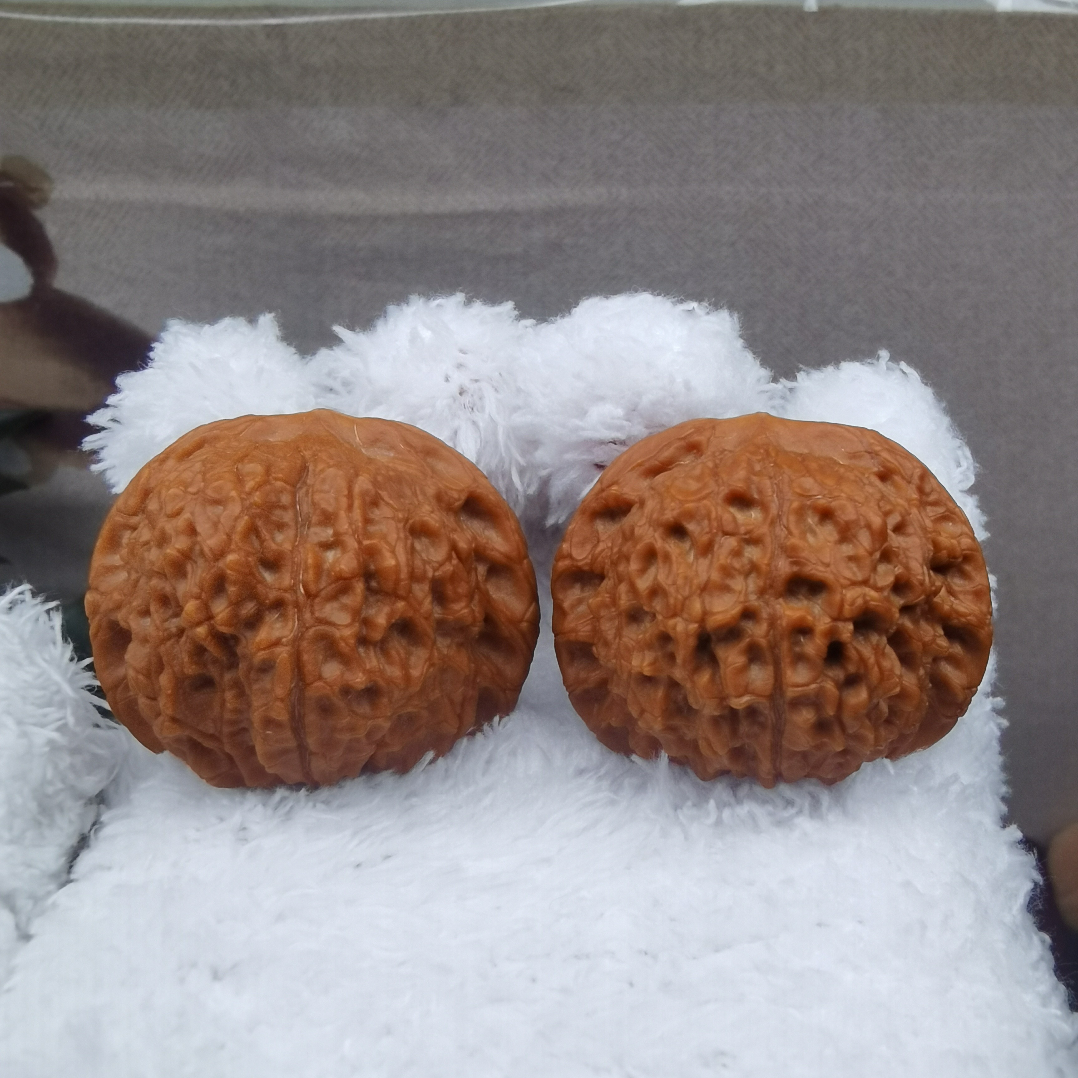 全品血麒麟头货对43