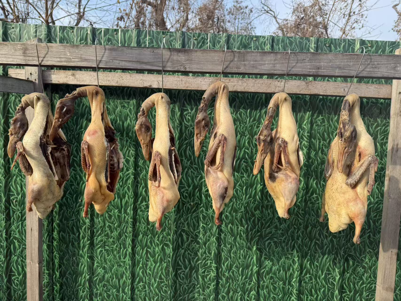 传统农家稻田麻鸭新鲜制作