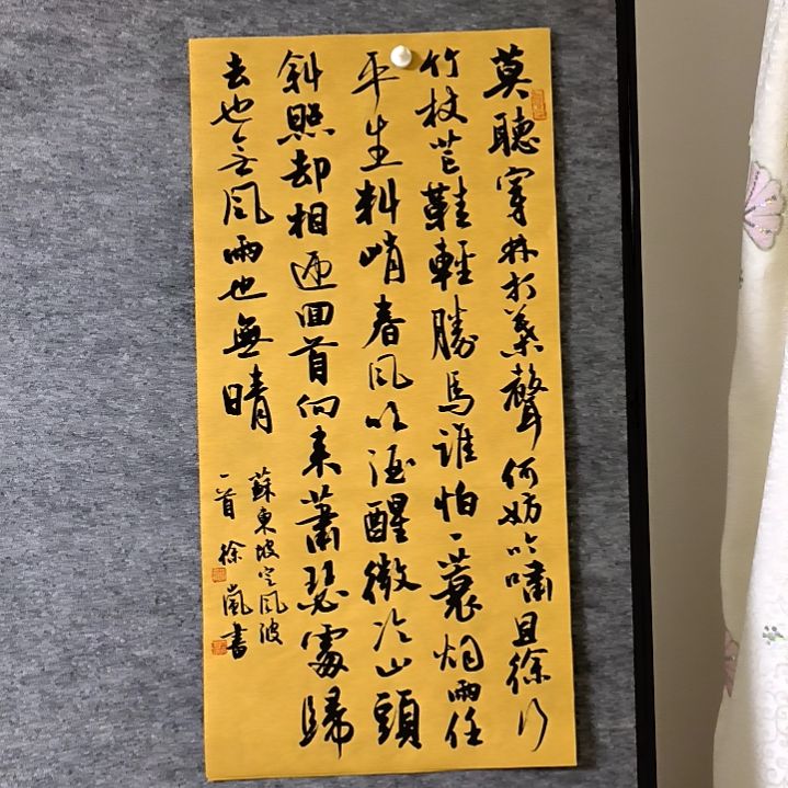 书法定风波四尺四开两平尺34*68厘米手写书法