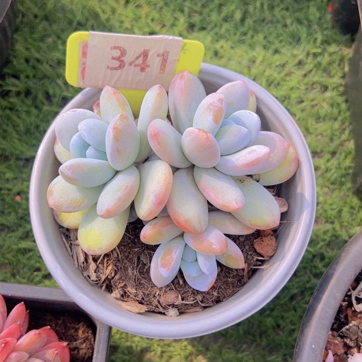 健健康康平平安安