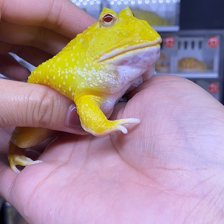 特价秒杀现货供应