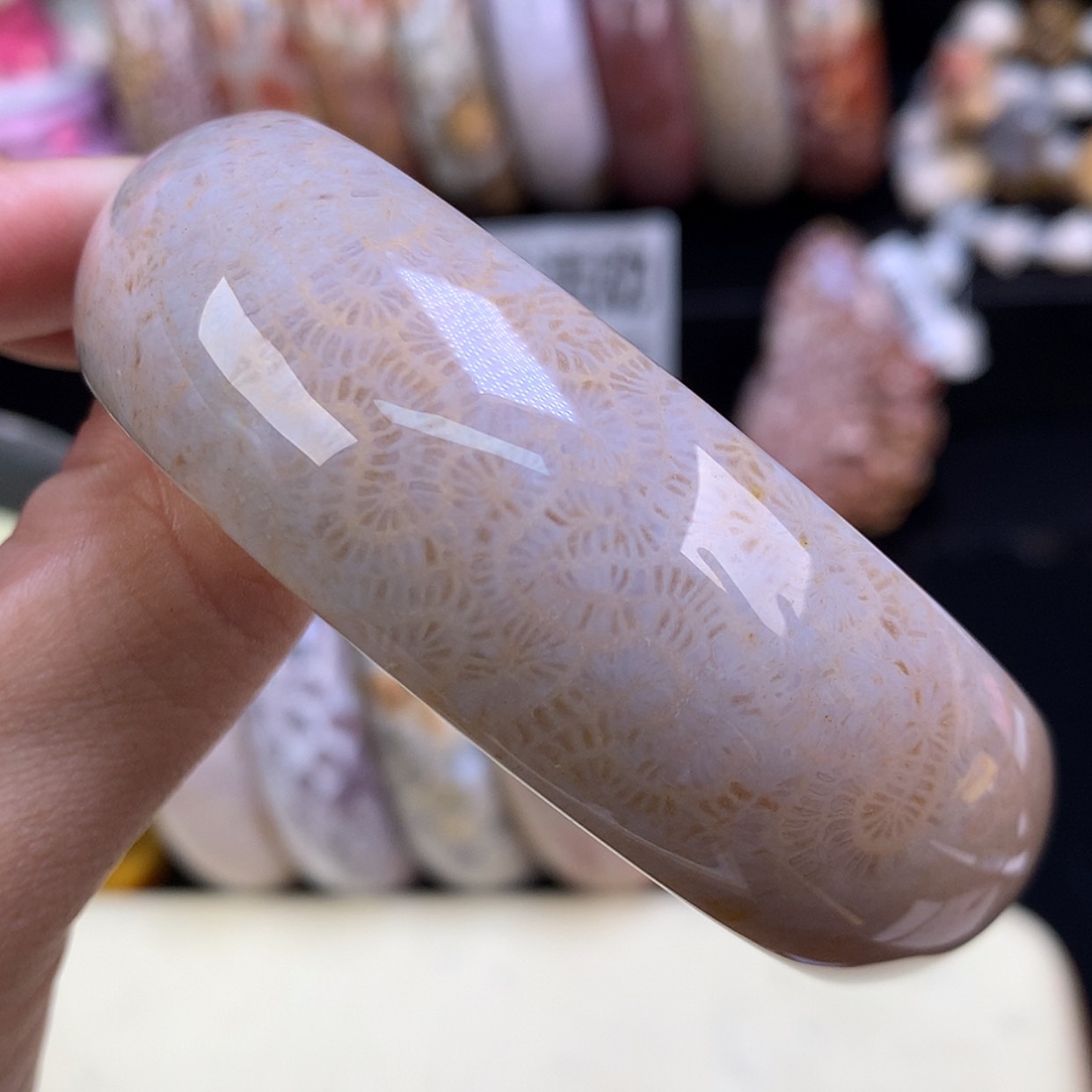 【闪购商品】颈饰未镶嵌硅化珊瑚（珊瑚玉）26号紫龙骨59.5圈