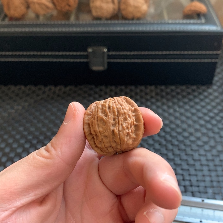 默***闻文玩核桃把件雨花石