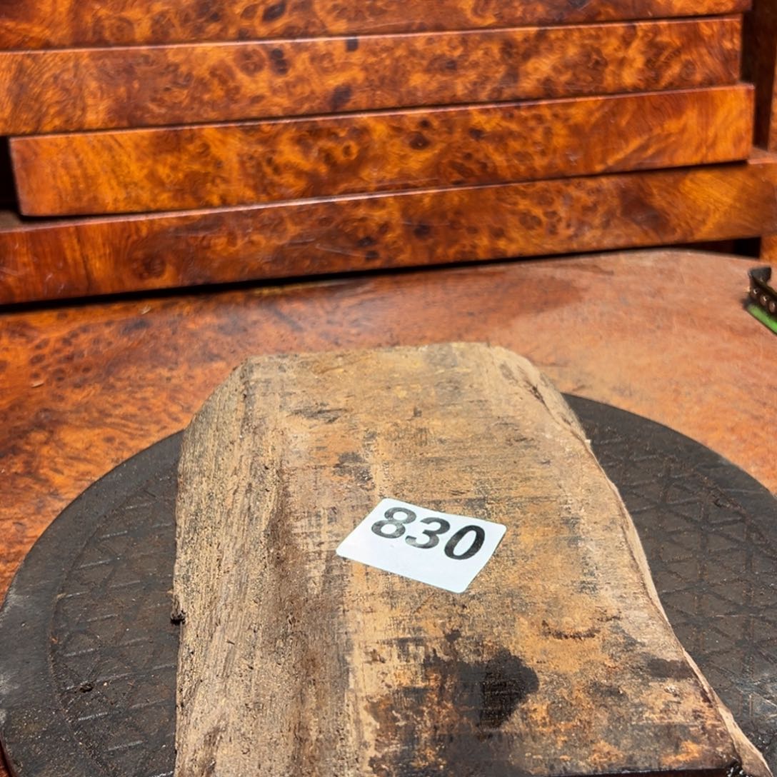 大果紫檀（缅甸花梨）