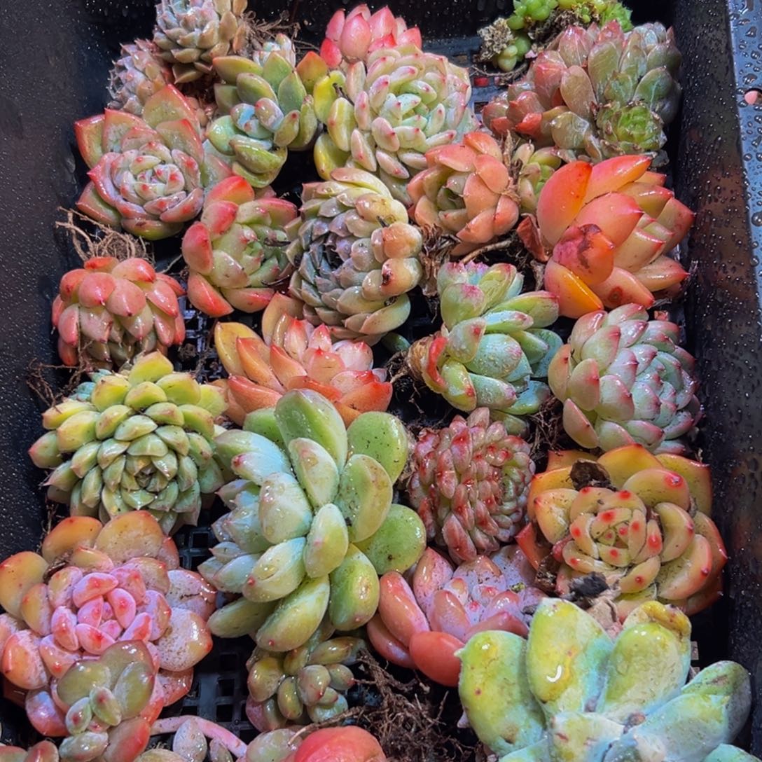 669点的点点滴滴点点滴滴