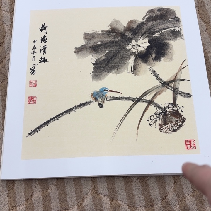 国画花鸟的翅膀是一个巨大的蝴蝶结在空中