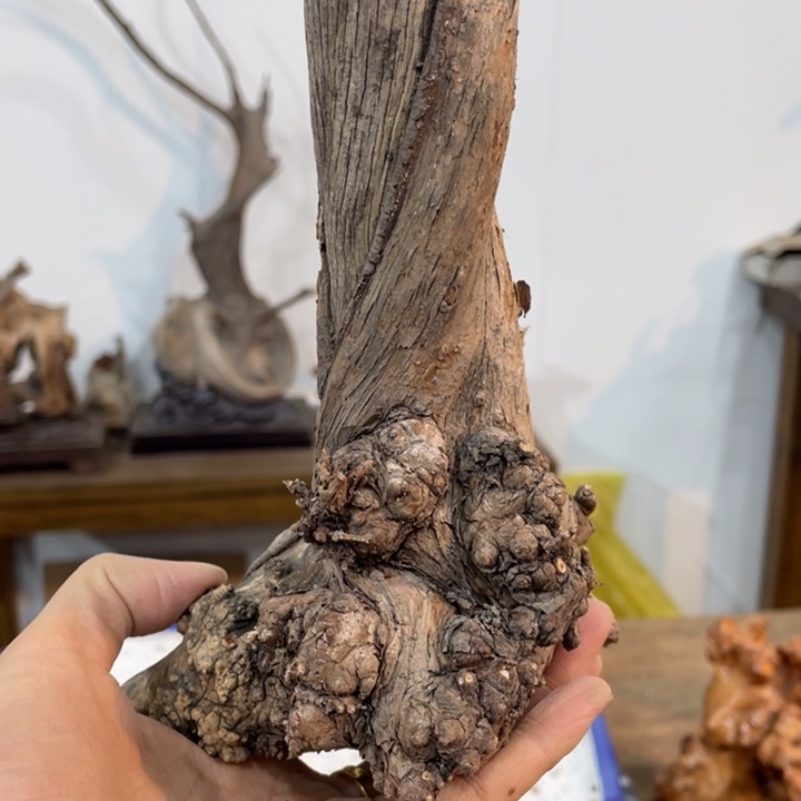 默***磊我们都是好孩子呀