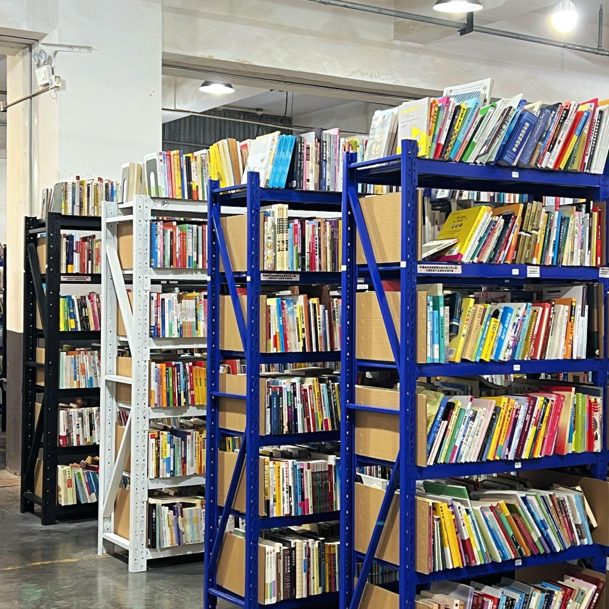 151-250 社会科学儿童库存微瑕 折扣书