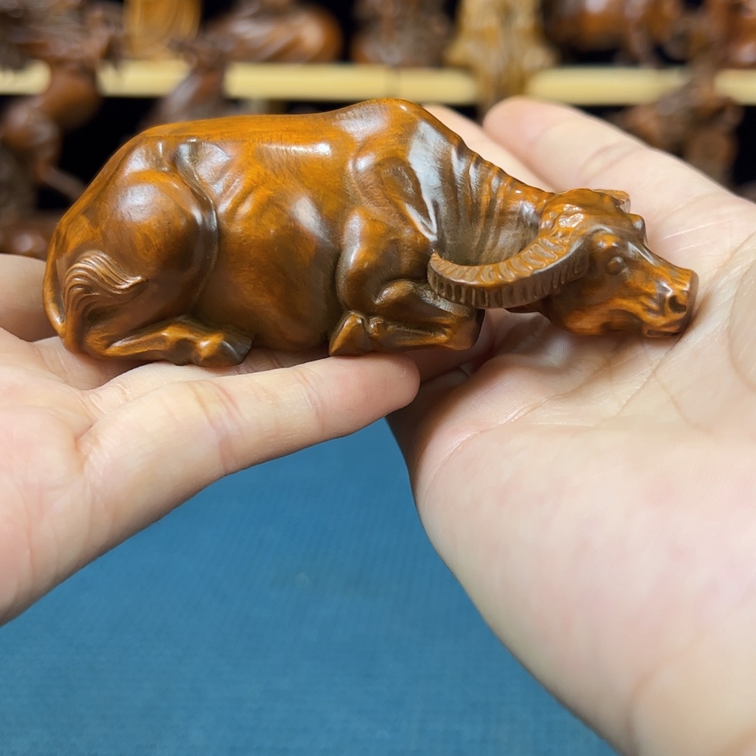 黄杨木小叶黄杨木