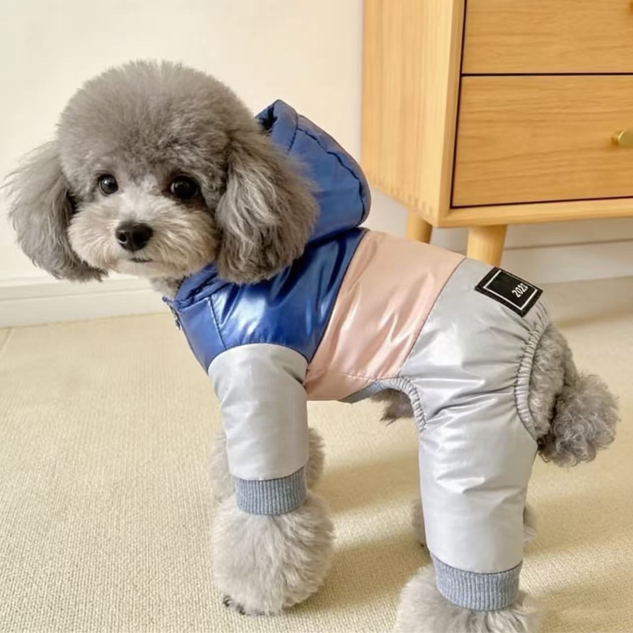 泰迪比熊贵宾犬秋冬装加绒四腿棉衣厚实保暖小型犬冬天衣服防风