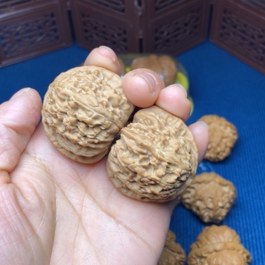 文玩核桃把件39白狮子