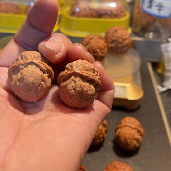 文玩核桃把件阿*野生小元宝全品32