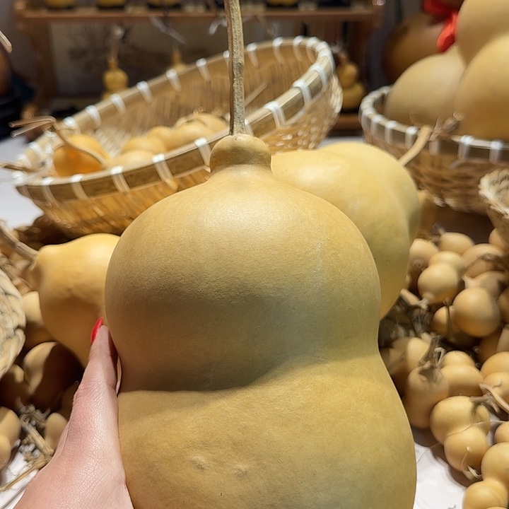 九**派直播间里有个叫阿胶汤