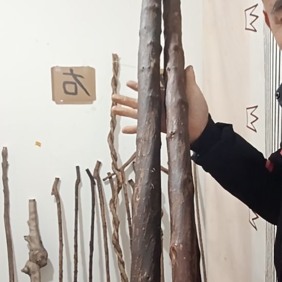 原木直播精品原木