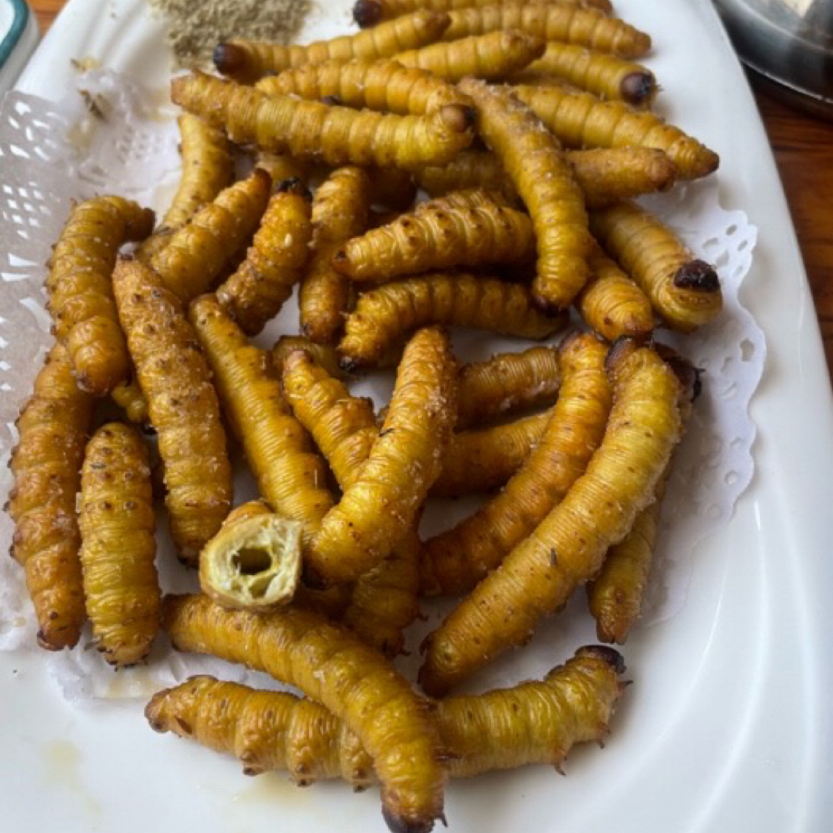 青岛本地豆虫尝鲜款30-35个［半斤  一盘］顺丰速运