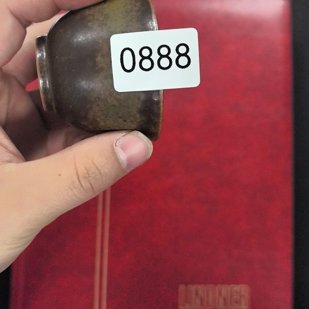 杯哦哦哦哦哦哦哦哦欧