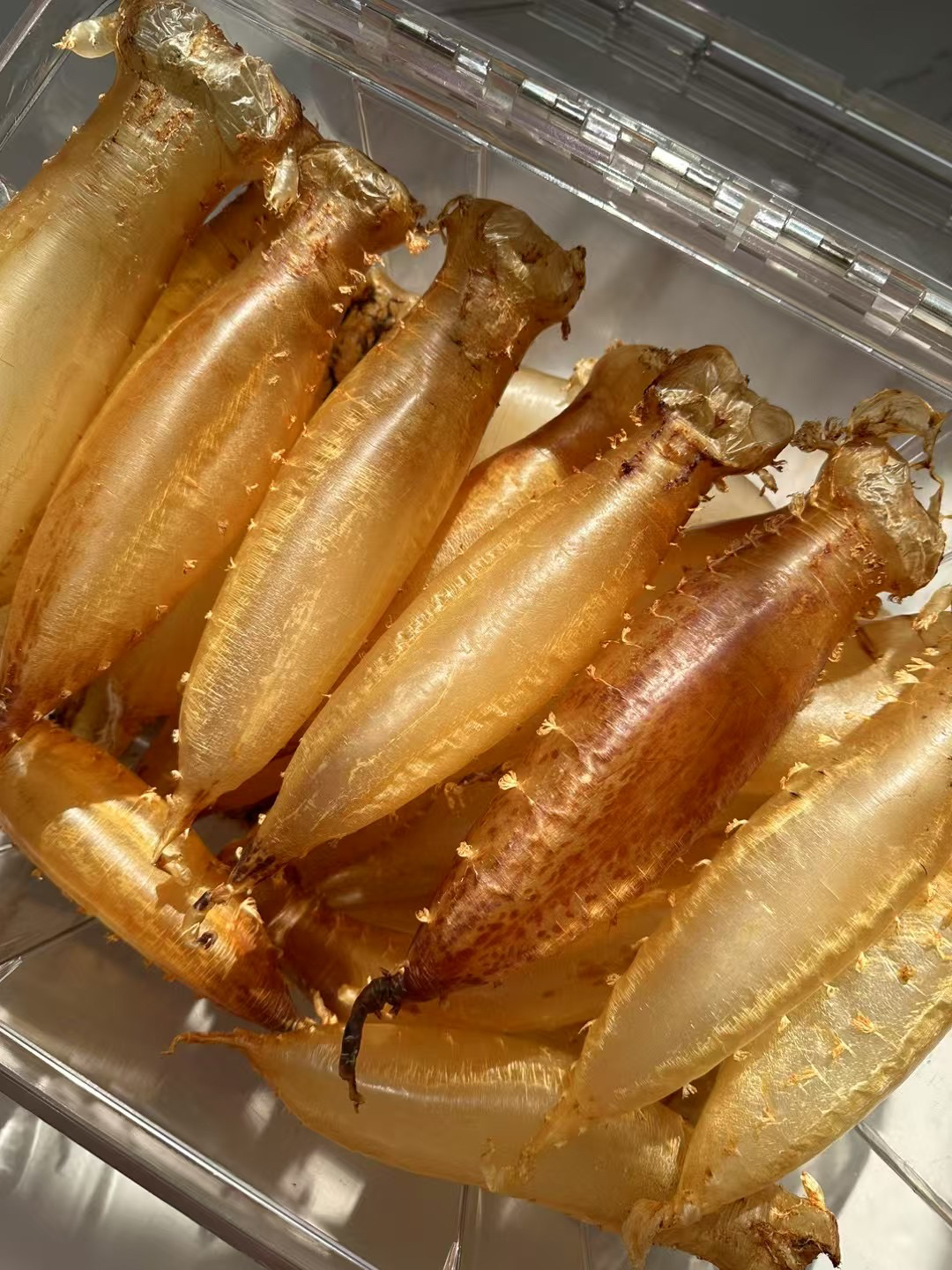南澳海纳堂各类赤嘴直播连接1-500克 