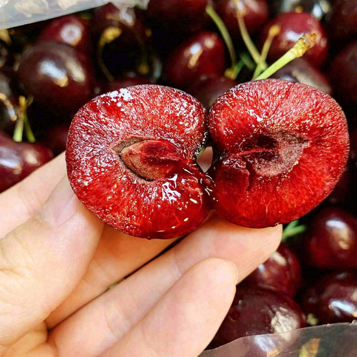 2025智利 海运  原装进口 桑提娜 车厘子3JD黑车 内附果径卡