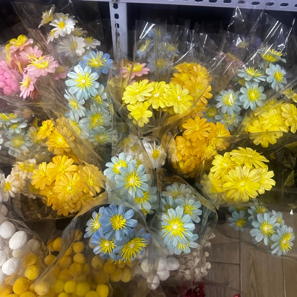 云南手工制作干花小葵花瓜子花家居花店装饰用品
