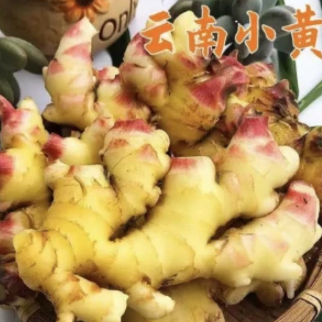 ⁸【村长严选】源自农家【小黄姜】（现挖现发）