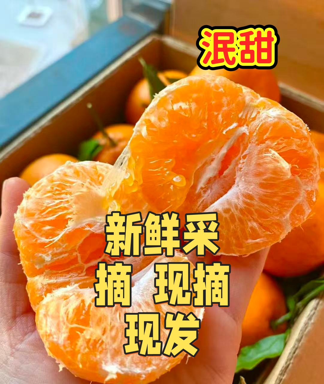 四川春见纯甜耙耙柑，新鲜时令水果皮薄易剥，自产自销