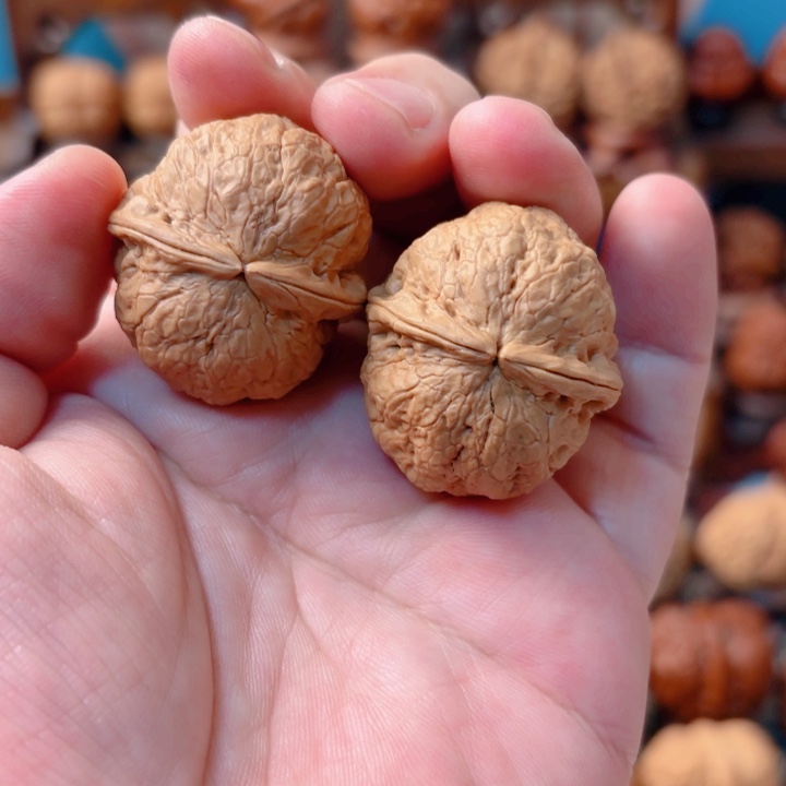 文玩核桃把件红河龙珠