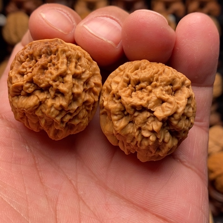 文玩核桃把件8老舍利