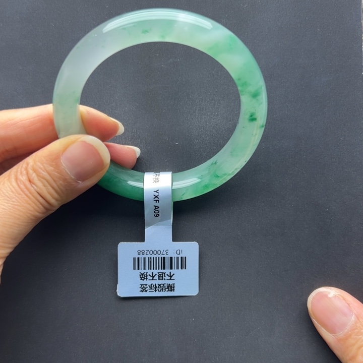 石英质玉未镶嵌手镯燕子➕54.9