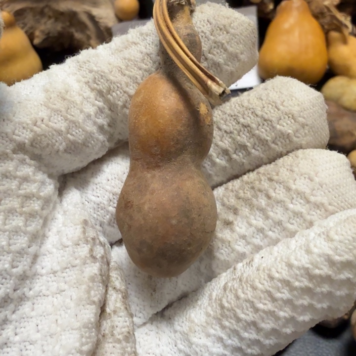 难***言6666666777777788888