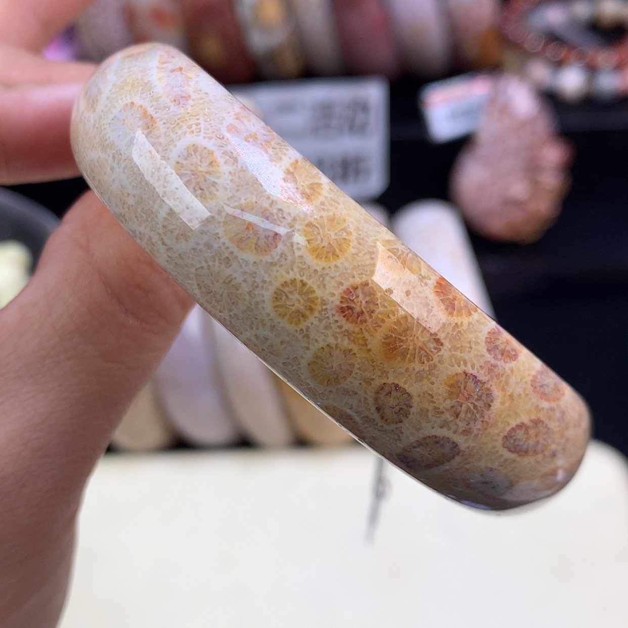 【闪购商品】颈饰未镶嵌硅化珊瑚（珊瑚玉）82号精美手镯57.3圈