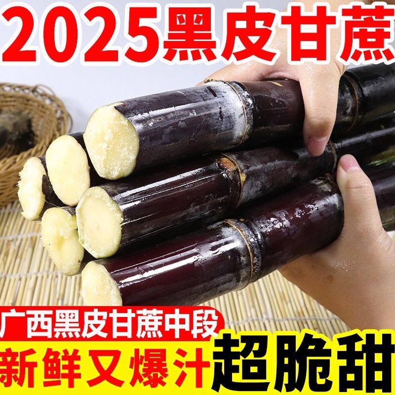 【2025头茬】广西黑皮甘蔗现砍紫皮水果精选中段脆甜整箱新鲜发货