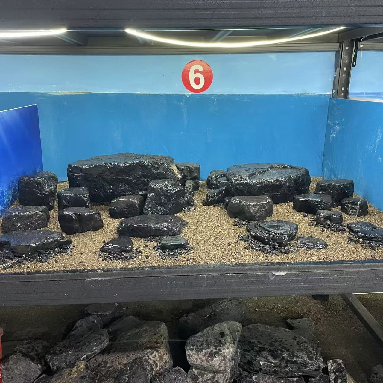 黑金峡谷溪流石鱼缸造景（一物一拍）