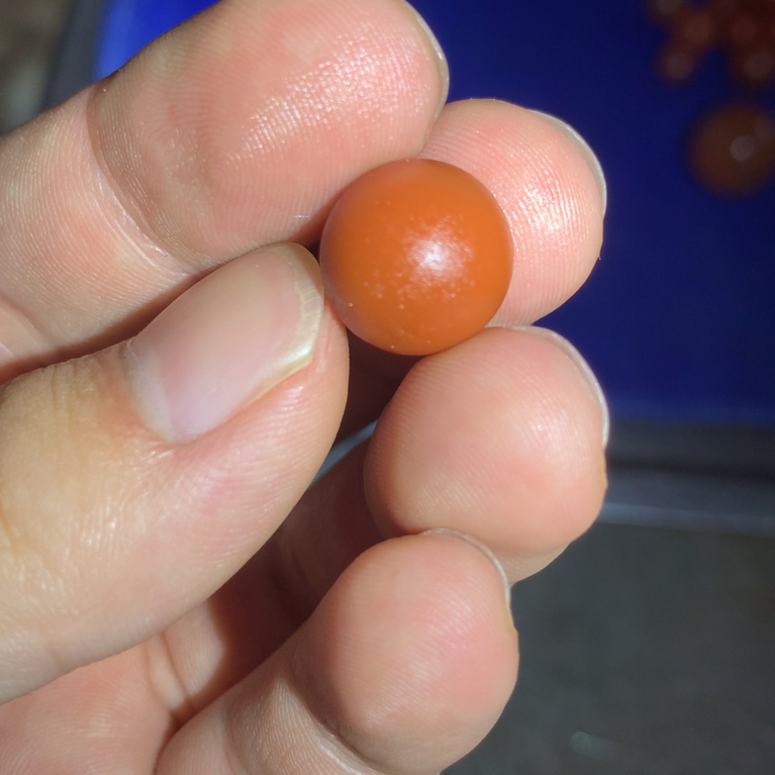 南红玛瑙未镶嵌珠宝半成品