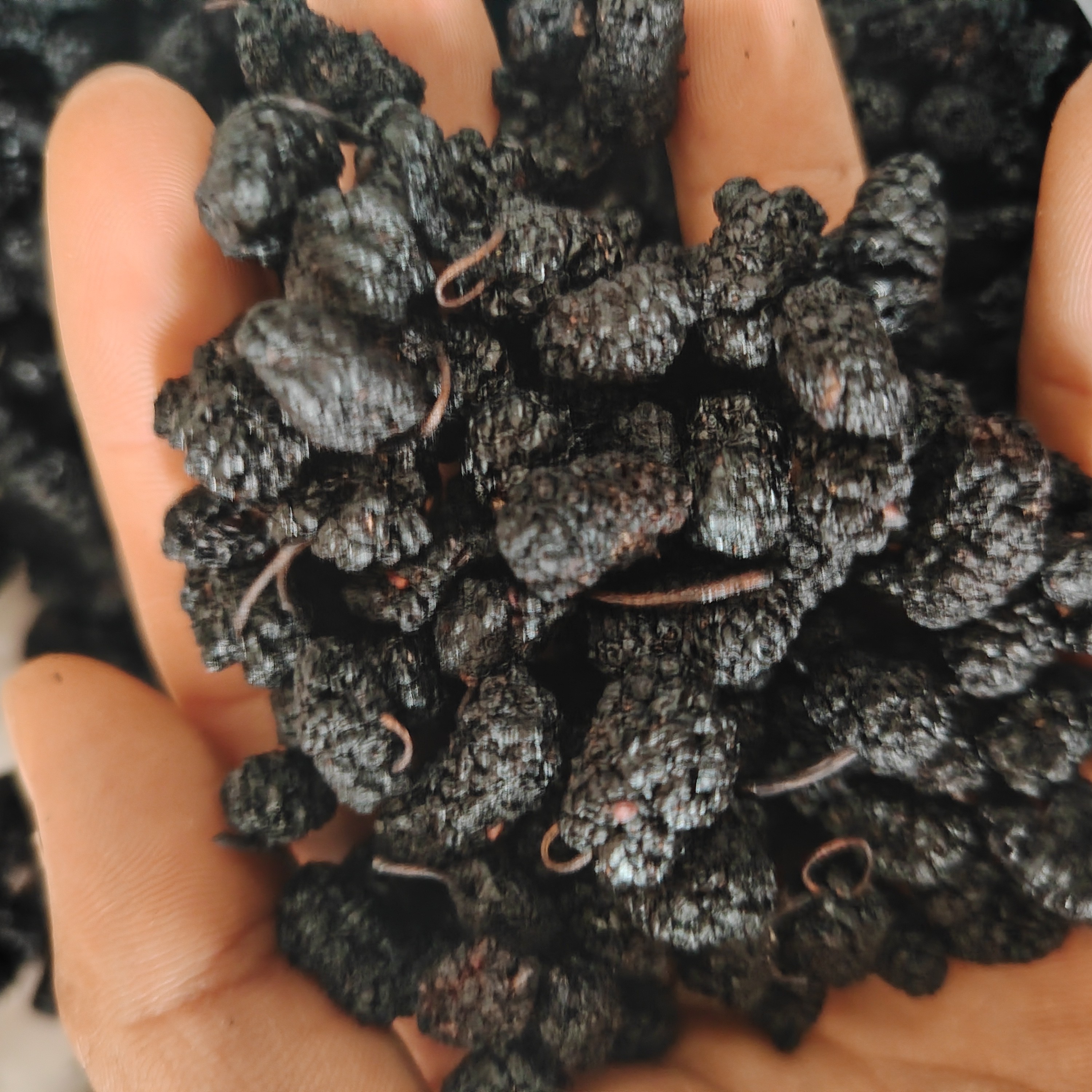 云南黑桑葚干干净无沙自然晾晒香甜饱满可泡茶泡酒