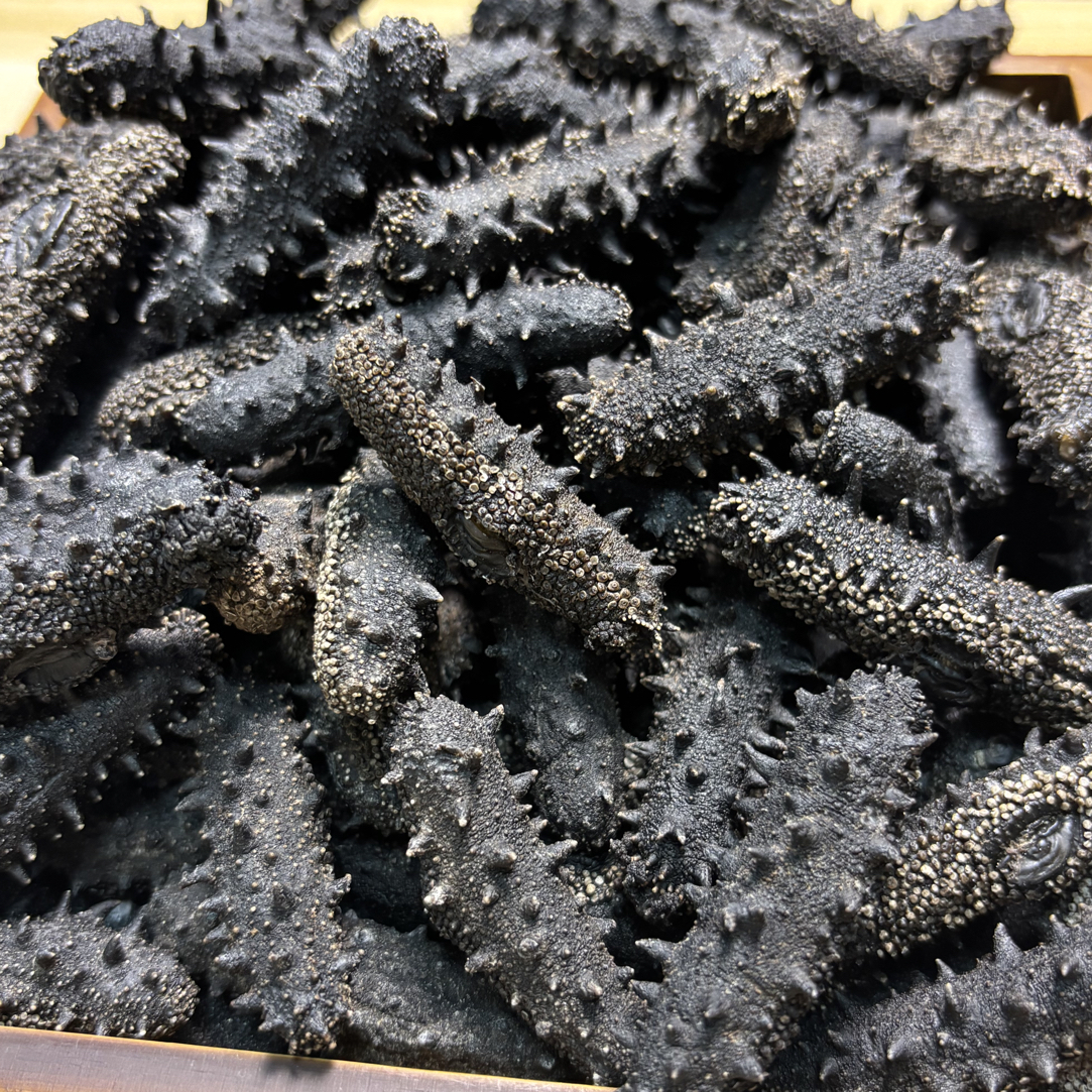 大连淡干辽刺参国标肉厚高泡发深海滋补佳品