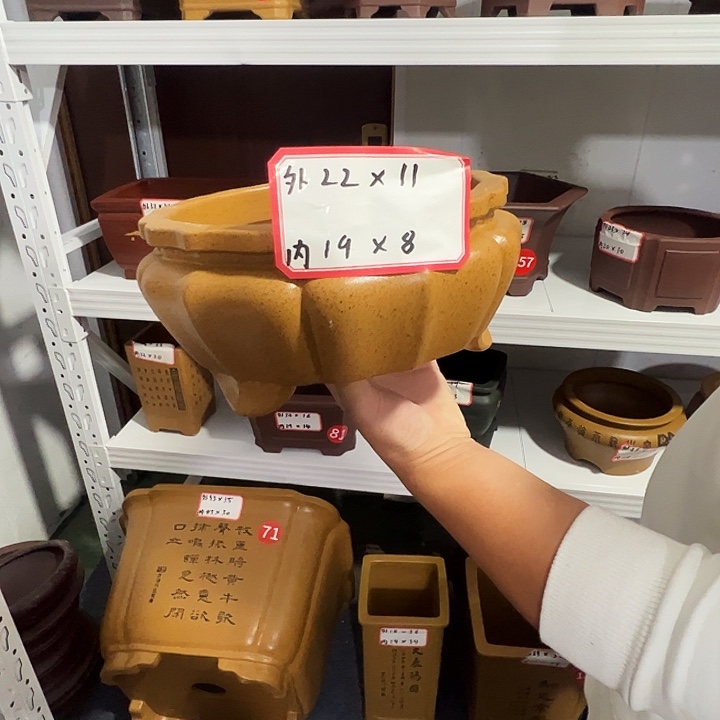 紫砂花盆紫砂花盆