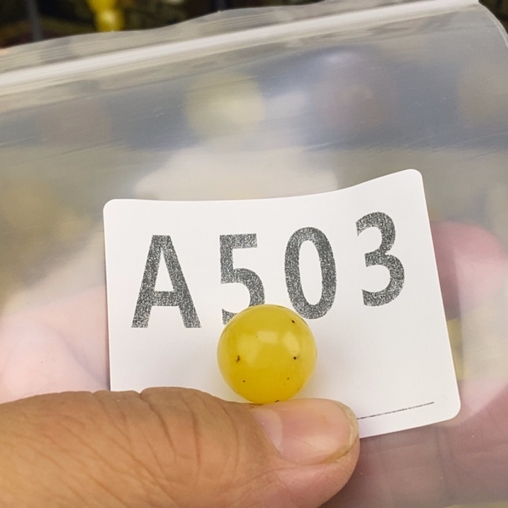 琥珀未镶嵌珠宝奇石微瑕14